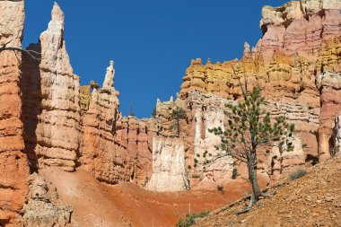 Bryce Canyon Milli Parkı, Utah, Amerika Birleşik Devletleri