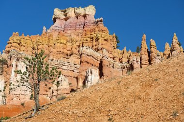 Bryce Canyon Milli Parkı, Utah, Amerika Birleşik Devletleri