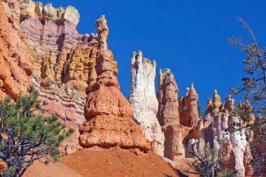 Bryce Canyon Milli Parkı, Utah, Amerika Birleşik Devletleri