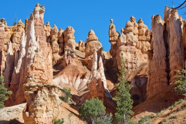 Bryce Canyon Milli Parkı, Utah, Amerika Birleşik Devletleri