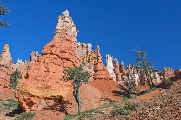 Εθνικό πάρκο Μπράις Κάνυον, Utah, Ηνωμένες Πολιτείες της Αμερικής — Φωτογραφία Αρχείου