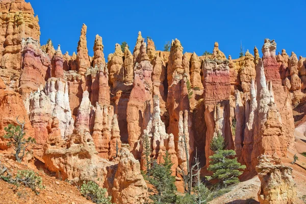 Εθνικό πάρκο Μπράις Κάνυον, Utah, Ηνωμένες Πολιτείες της Αμερικής — Φωτογραφία Αρχείου