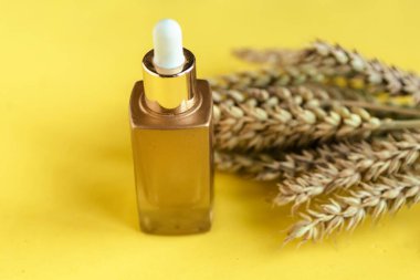 Kozmetik şişesi ve sarı arka planda buğday kulakları, doğal kozmetik ürünü.
