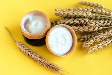 Mavi arka planda kozmetik kavanozu ve buğday kulakları, doğal kozmetik ürünü