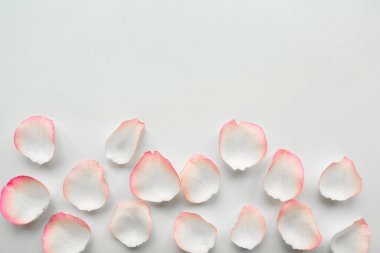 Beyaz arkaplanda gül yaprakları yuvarlak çerçeve, metin için alanı kopyala