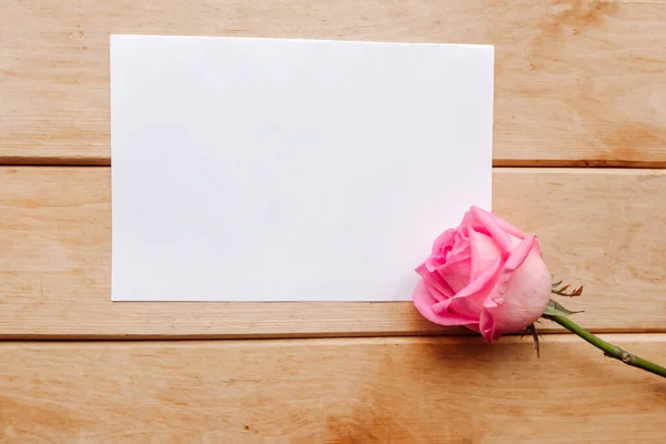 Rózsa Fehér Mockup Üres Háttér Valentin Napi Üdvözlő Kártya — Stock Fotó