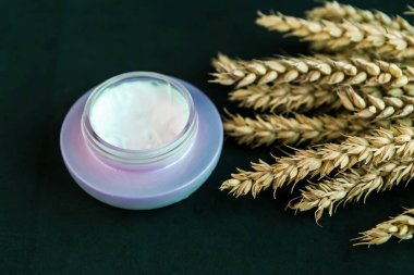 Buğday ve arpa doğal kozmetik. Siyah arka planda kozmetik kavanozu ve buğday kulakları