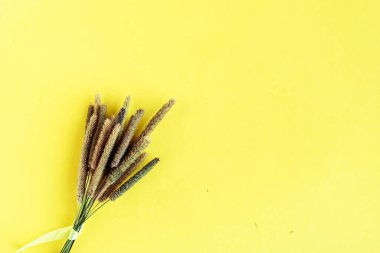 Sarı arka planda kurutulmuş çiçek demeti, üst manzara..