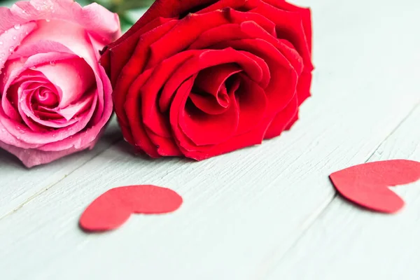 Red White Roses Close — Stock Photo, Image