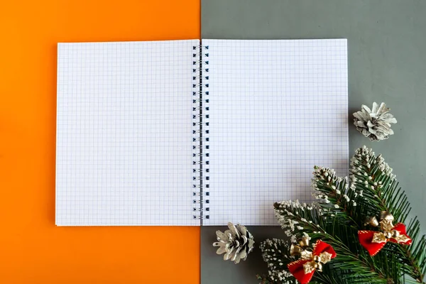 Notizbuch Und Weihnachtsbaumzweige Auf Farbigem Hintergrund Öffnen Vorlage Für Neujahrsgrußkarte — Stockfoto