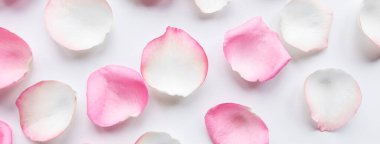 Ahşap arka planda gül yaprakları. Sevgililer Günü arkaplanı