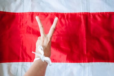 Beyaz arka planda gül yaprakları. Sevgililer Günü arkaplanı, metin için kopyalama alanı