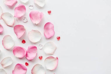 Beyaz arka planda gül yaprakları. Sevgililer Günü arkaplanı, metin için kopyalama alanı