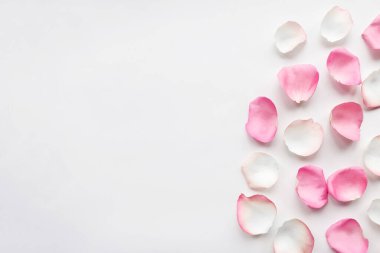 Beyaz arka planda gül yaprakları. Sevgililer Günü arkaplanı, metin için kopyalama alanı