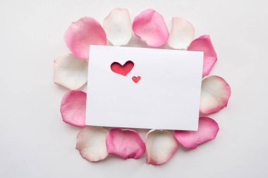 Sevgililer Günü tebrik kartı ve gül yaprakları beyaz arka planda, üst manzara