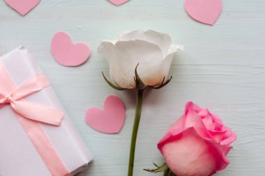 Pembe arka planda bahar leylak çiçekleri olan bir dal. Çiçek açan bahar arkaplanı. Anneler Günü arkaplanı. 