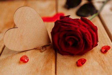 Sarı arka planda bahar leylağı çiçekleri olan bir dal. Çiçek açan bahar arkaplanı. Anneler Günü geçmişi. Metin için alanı kopyala