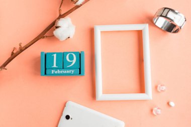 19 Şubat. Pembe pastel arka planda ay, tarih ve resim çerçeveli mavi küp takvimi.