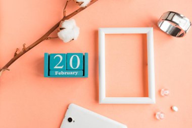 20 Şubat. Pembe pastel arka planda ay, tarih ve resim çerçeveli mavi küp takvimi.