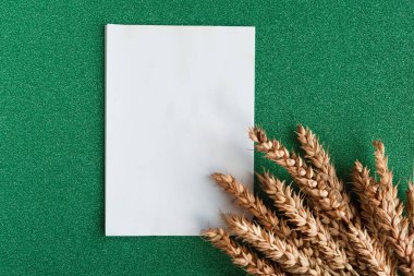 Bir sürü buğday kulağı ve parlak arkaplanda beyaz bir model. Minimalizm tarzında tarım kavramı. Metin için alanı kopyala