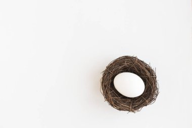 Yuvada tavuk yumurtası, üst manzara, beyaz arka plan. Boşluğu kopyala