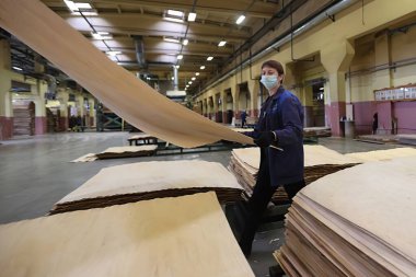  Ahşap fabrikasında koruyucu maskeli bir işçinin portresi