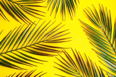 palm leafs pattern on bright yellow background