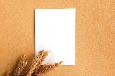 Bunch of wheat ears and white mockup blank on golden glitter background. Agriculture concept in minimalism style. Copy space for the text