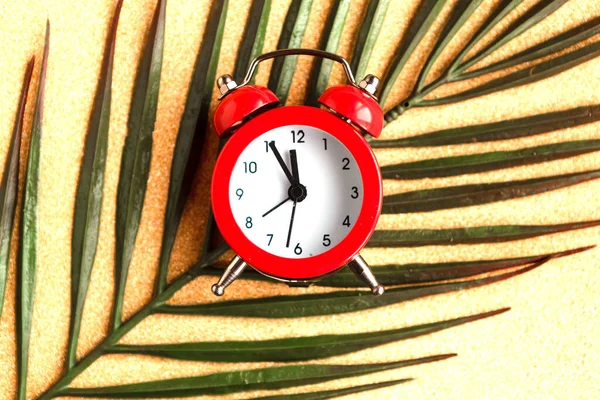 Alarm Clock Palm Tree Branch Golden Background Minimal — 스톡 사진