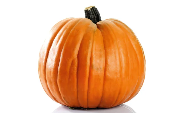 Beyaz üzerine izole edilmiş büyük taze balkabağı