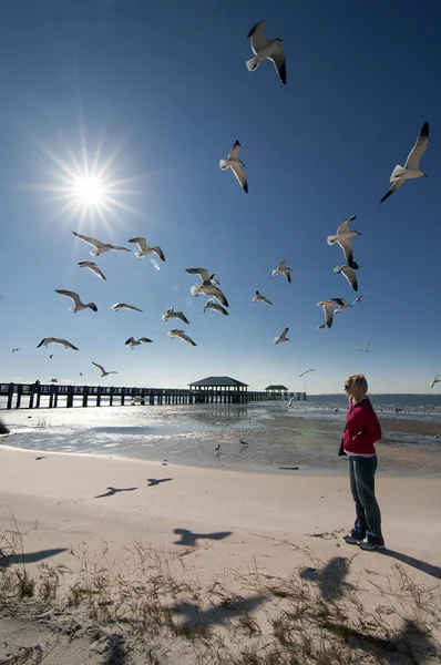 Blonde woman looking seagulls — Stock Photo, Image