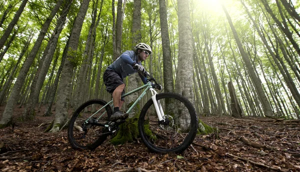 Rider in action — Stock Photo, Image