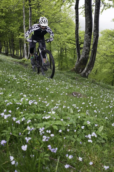 Mountainbike in het bos — Stockfoto