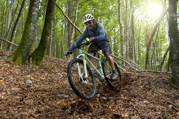 Rider in action — Stock Photo, Image