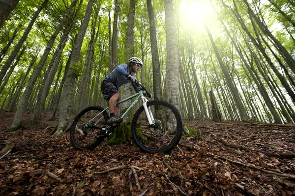 Rider in action — Stock Photo, Image