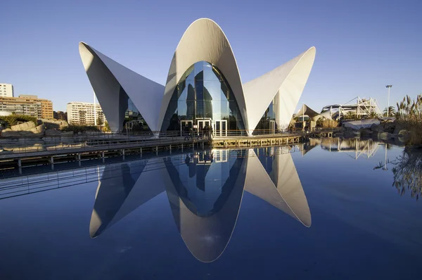 Oceanografic, Valencia — Stok fotoğraf