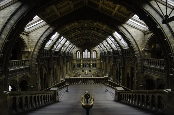 Natural History Museum, London — Stock Photo, Image