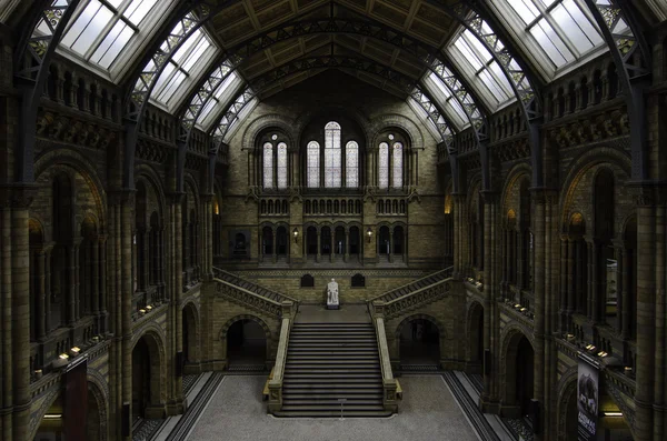 Museu de História Natural, Londres — Fotografia de Stock