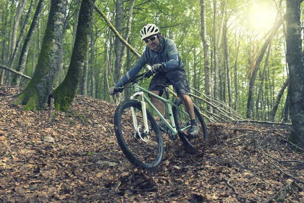 Pilota in azione — Foto Stock