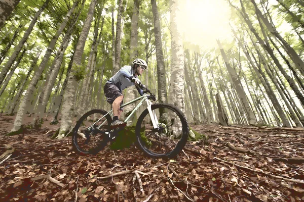 Rider in action — Stock Photo, Image