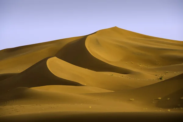沙丘上的日落 — 图库照片