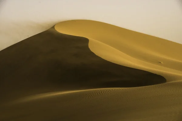 Altın dune — Stok fotoğraf