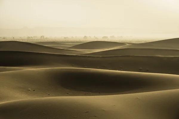 Dunes d'or Image En Vente