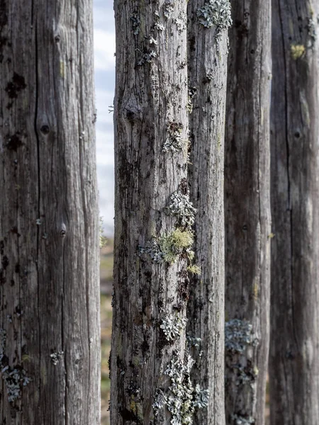 Vecchio Recinto Fatto Assi Legno Stile Rustico Grunge Vecchio Stile — Foto Stock