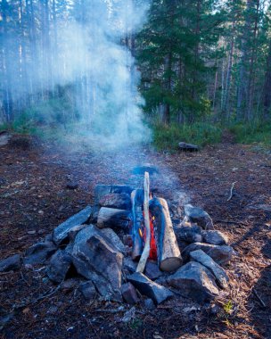 Ormanda kamp ateşi taşlarla çevrili bir piknikte