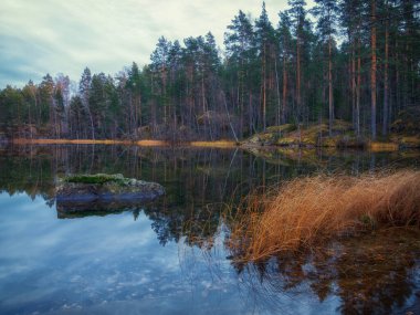 Güzel orman gölünde güzel bir gün doğumu.