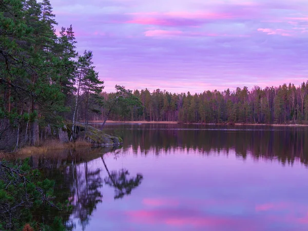 Pretty Sunrise Beauty Forest Lake — Stock Photo, Image