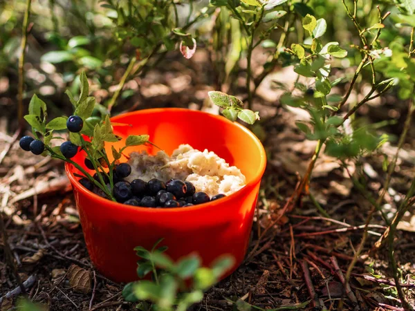 Farinha Aveia Com Mirtilos Prato Laranja Natureza Floresta Pequeno Almoço — Fotografia de Stock