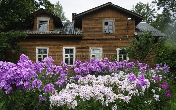 Old Wooden House Vyborg Blooming Flowers Front House — Stock Photo, Image