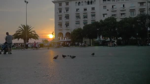 Tauben fliegen bei Sonnenuntergang in der Stadt davon — Stockvideo